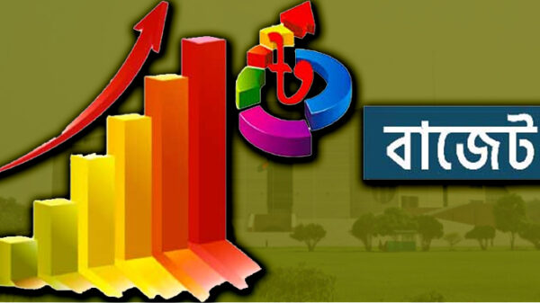 সংকোচনমূলক বাজেট দেওয়ার পরামর্শ অর্থনীতিবিদদের