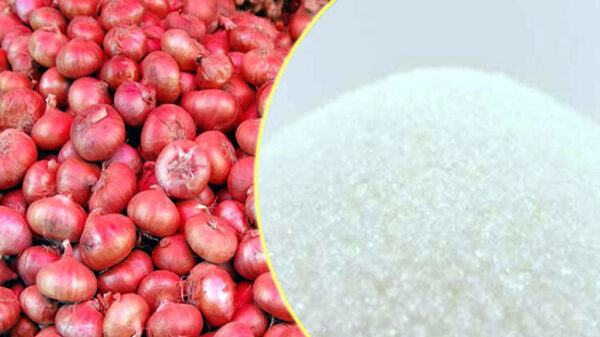 ১ লাখ টন চিনি ও ৫০ লাখ টন পেঁয়াজ আসছে