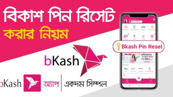 বিকাশ পিন পরিবর্তন করার নিয়ম
