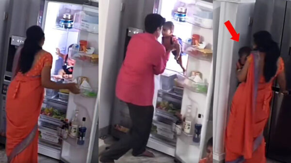খাবারের বদলে সন্তানকে ফ্রিজে রাখলেন মা